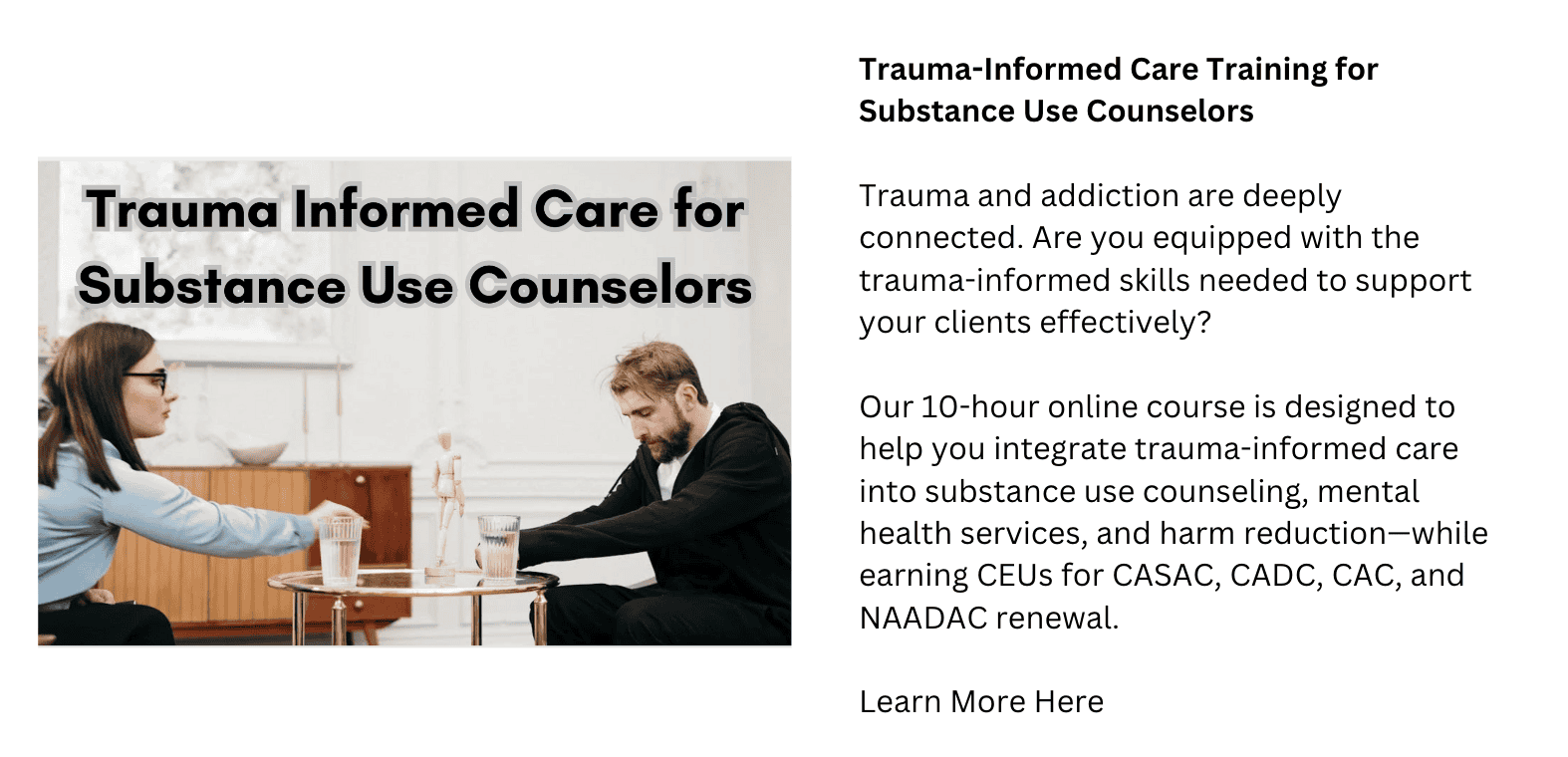 Basnner add for the trining Using a Trauma-Informed Approach to Care in Substance Use Counseling